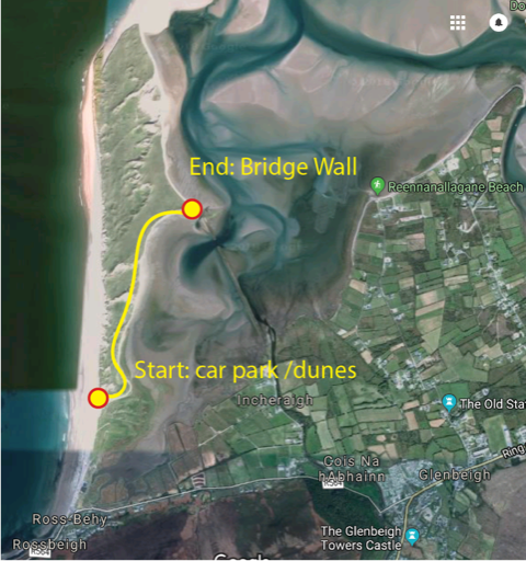 Rossbeigh beach protest walk